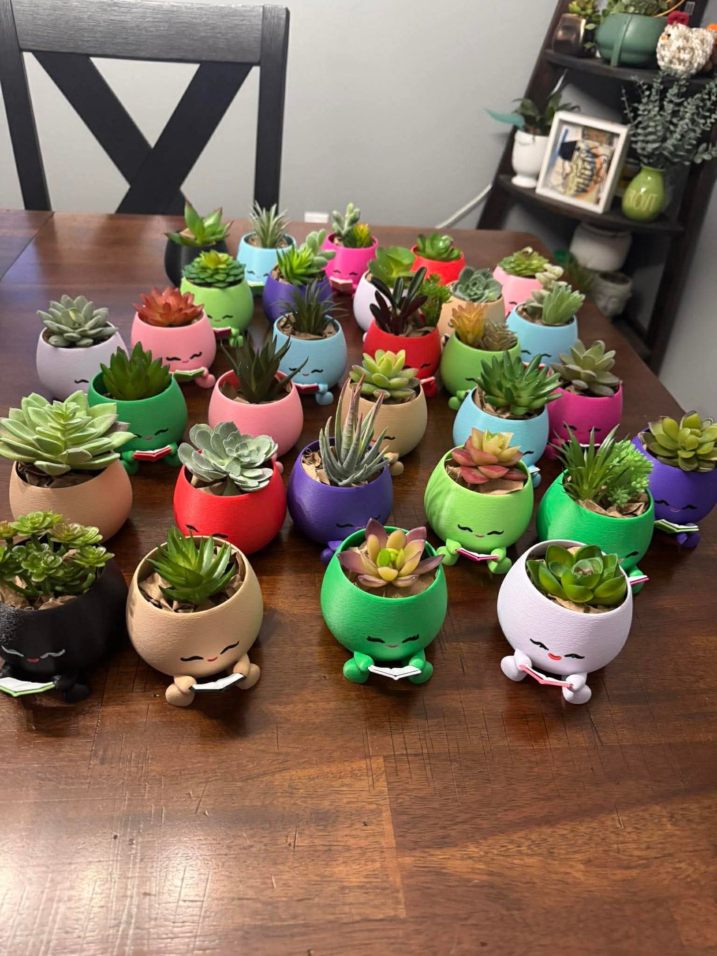 Succulent Planter - Reading Book