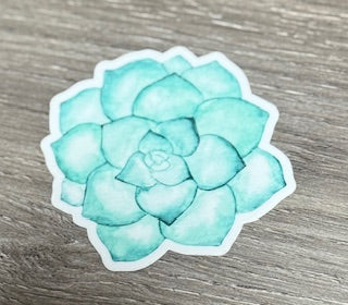 Sticker - Large Green Succulent