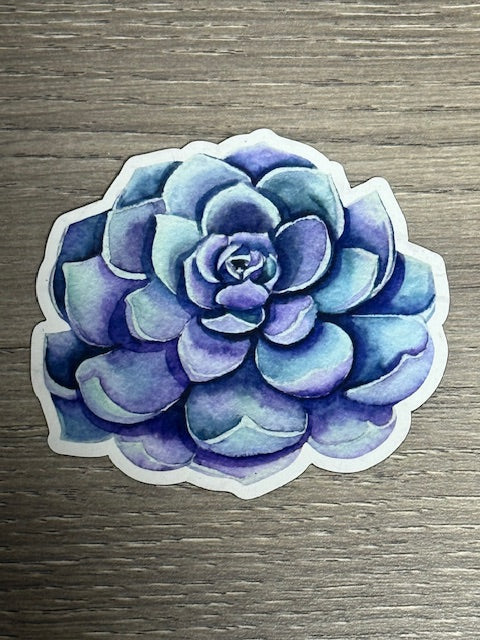 Magnet - Succulent